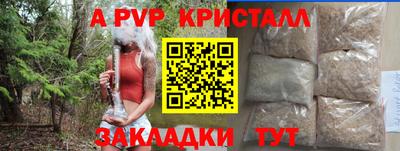 хмурый Тула