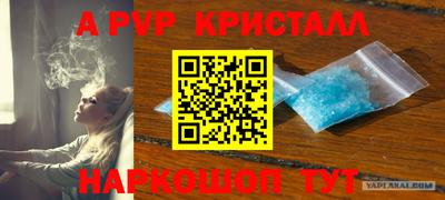 хмурый Тула