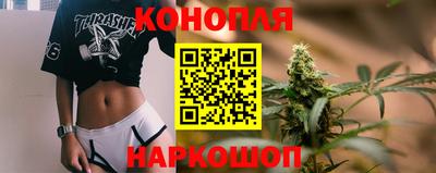 хмурый Тула