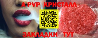 хмурый Тула