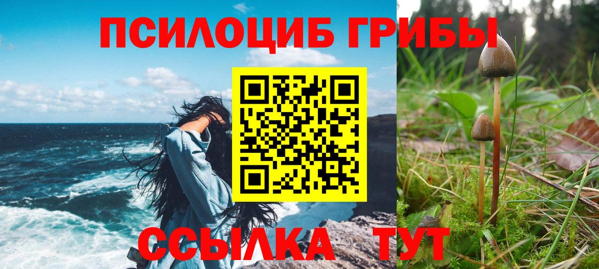 Псилоцибиновые грибы GOLDEN TEACHER  хочу наркоту  Малгобек  Вход с VPN 